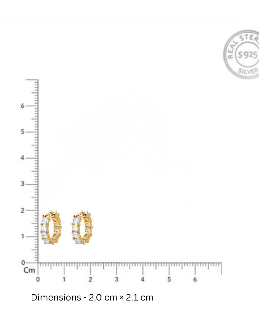 Princess Cut Eternity Hoop Earrings in